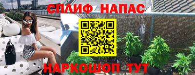 дмт Рязань