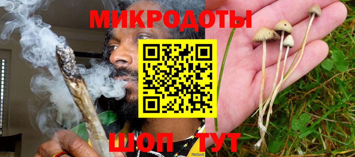 Гашиш Нефтекумск