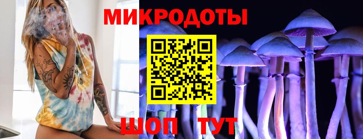 Купить наркотик  ГАШ  ЭКСТАЗИ  Марихуана  ГАШИШ  Героин  Мефедрон кристаллы  MDMA  Кокаин  Нефтекумск  A-PVP СК   Вход с VPN 
