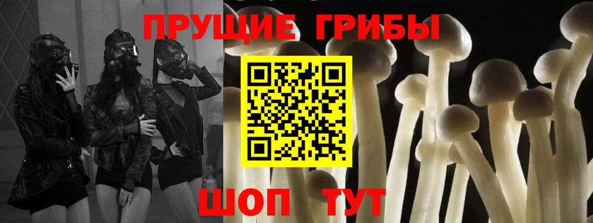 Нефтекумск  Галлюциногенные грибы ЛСД  Вход с VPN 